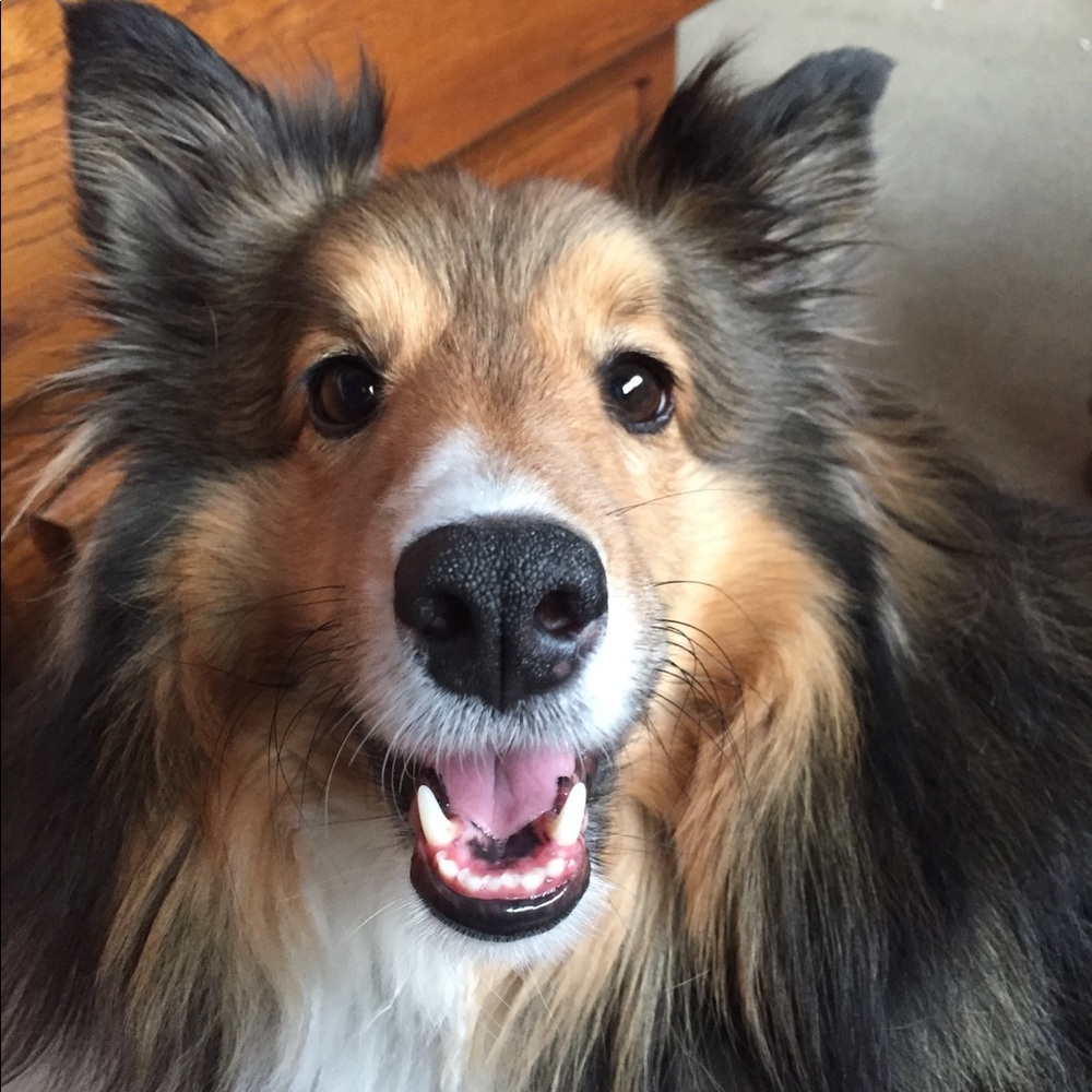 Meet your Posher, Christina